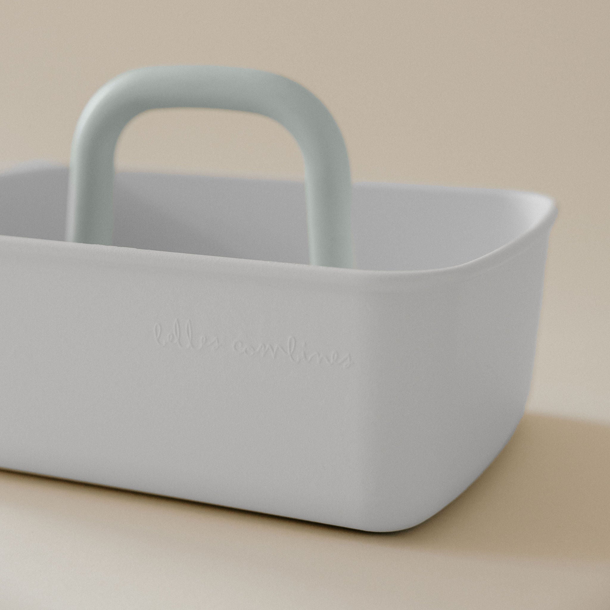 Leo storage bin