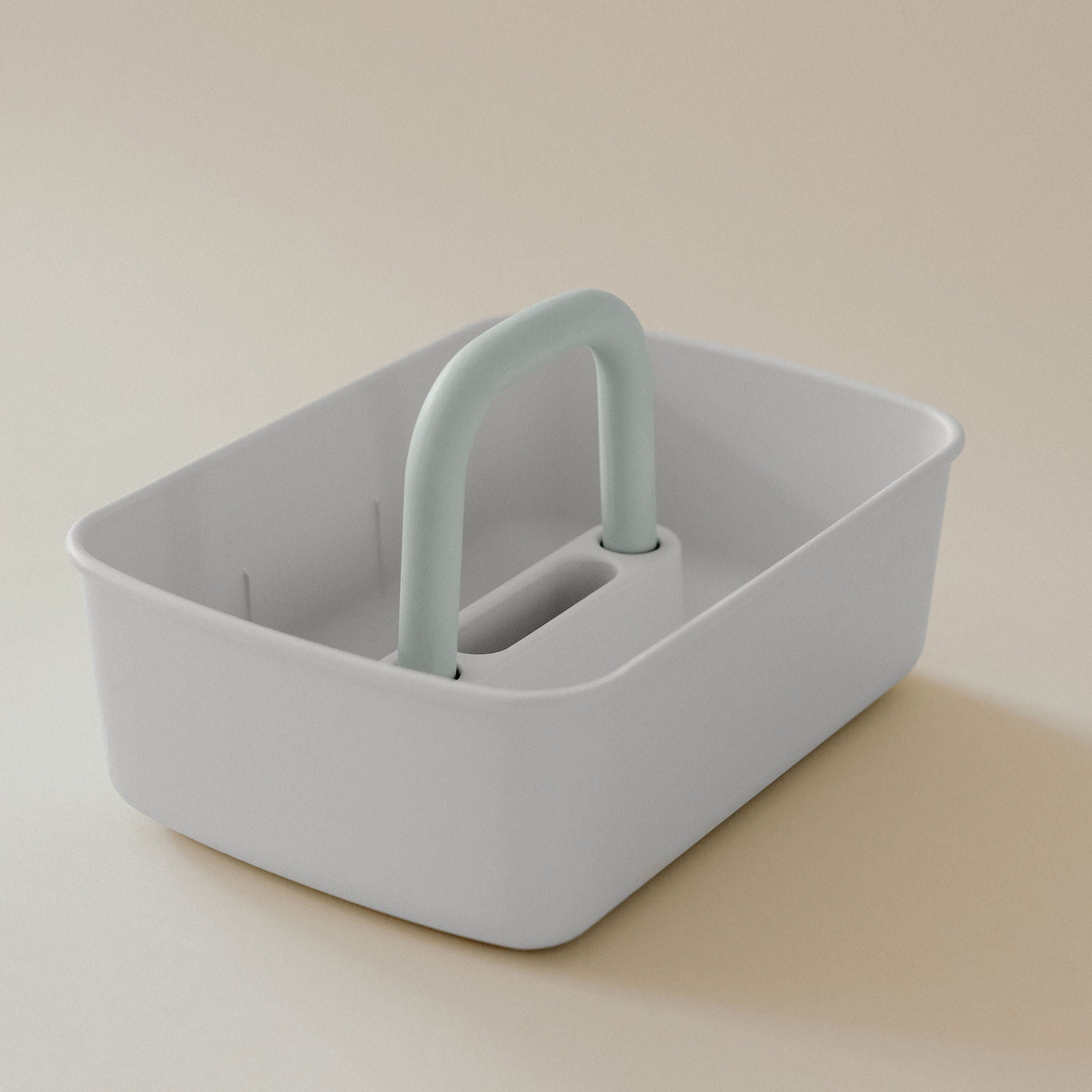 Leo storage bin