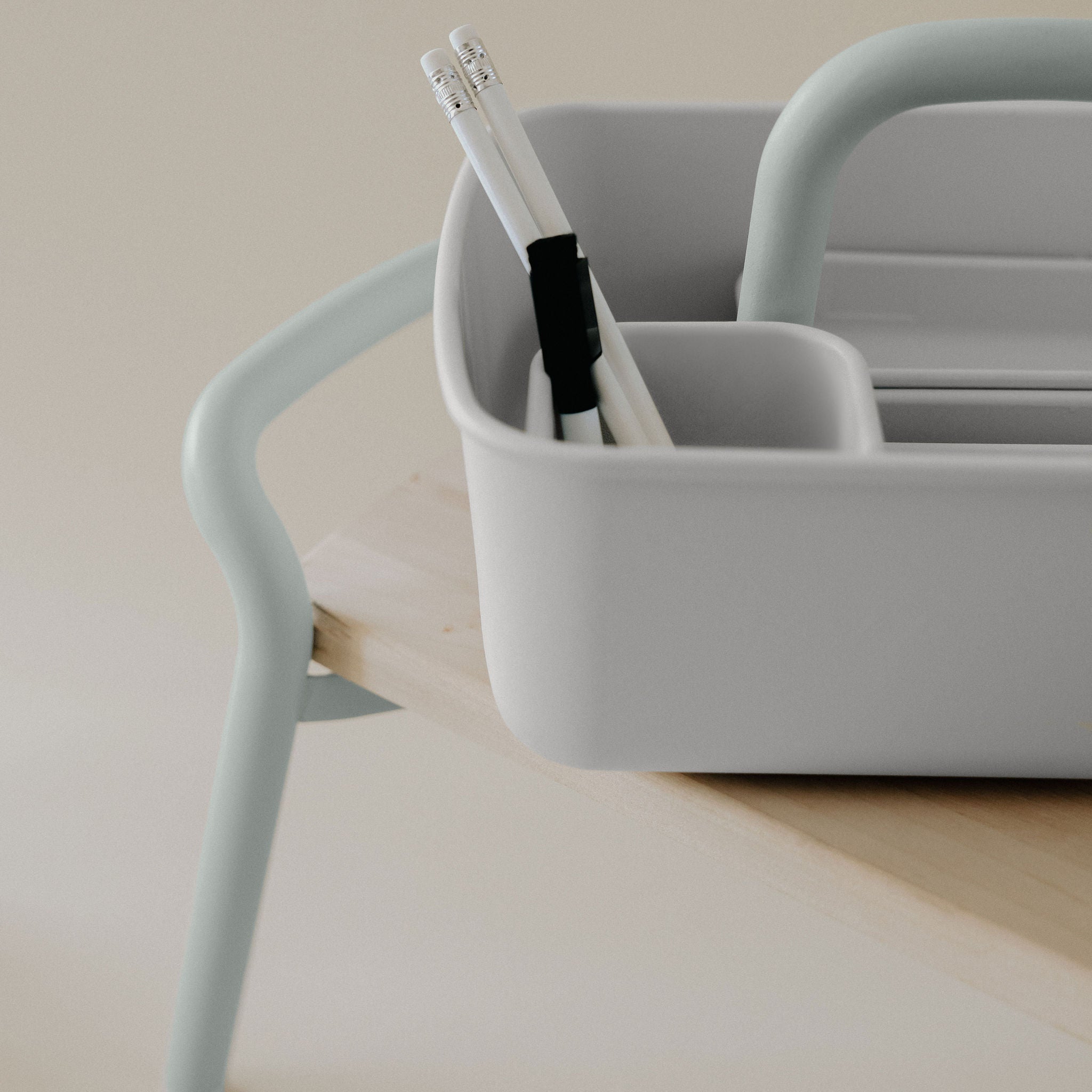 Leo storage bin