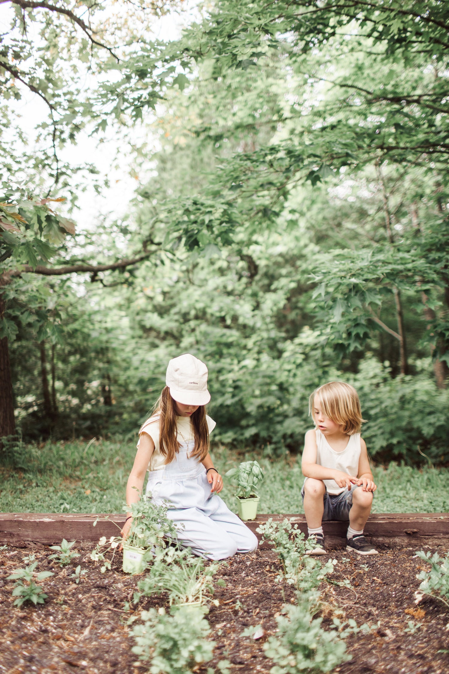 Les herbes aromatiques : un jardin sensoriel pour grandir