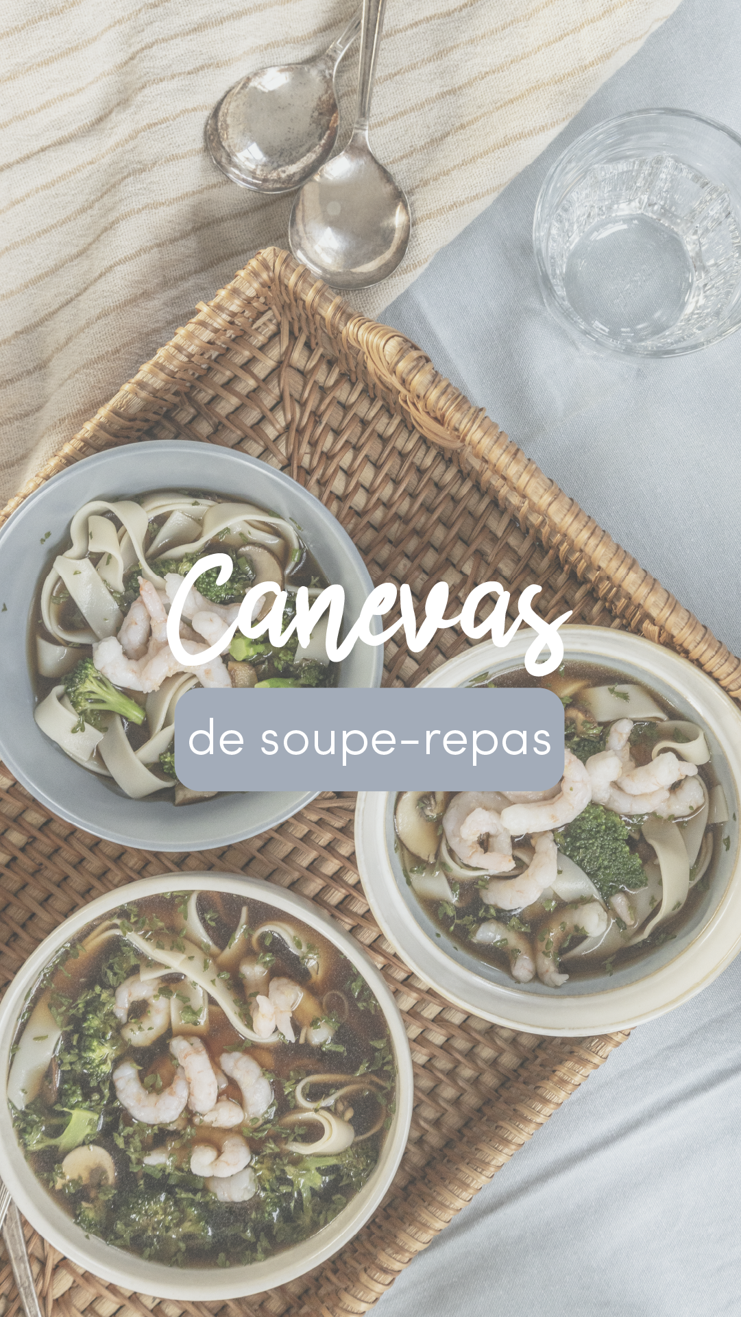 Canevas de soupe-repas