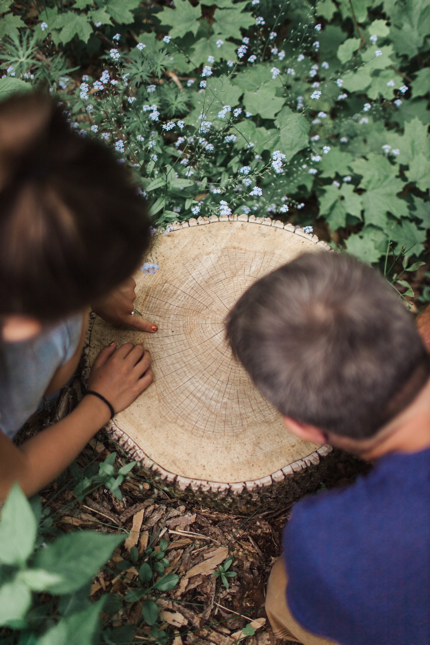 Faire pousser un avenir vert : manuel des parents pour sensibiliser les enfants à l'environnement