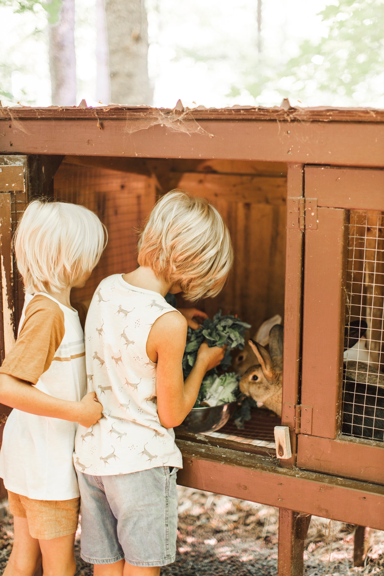 Petits explorateurs : accompagner l'éveil de vos enfants en pleine nature