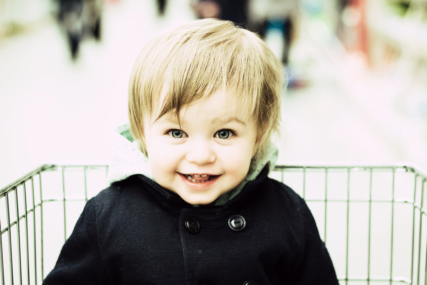 Quand je vais au marché: apprentissages et découvertes