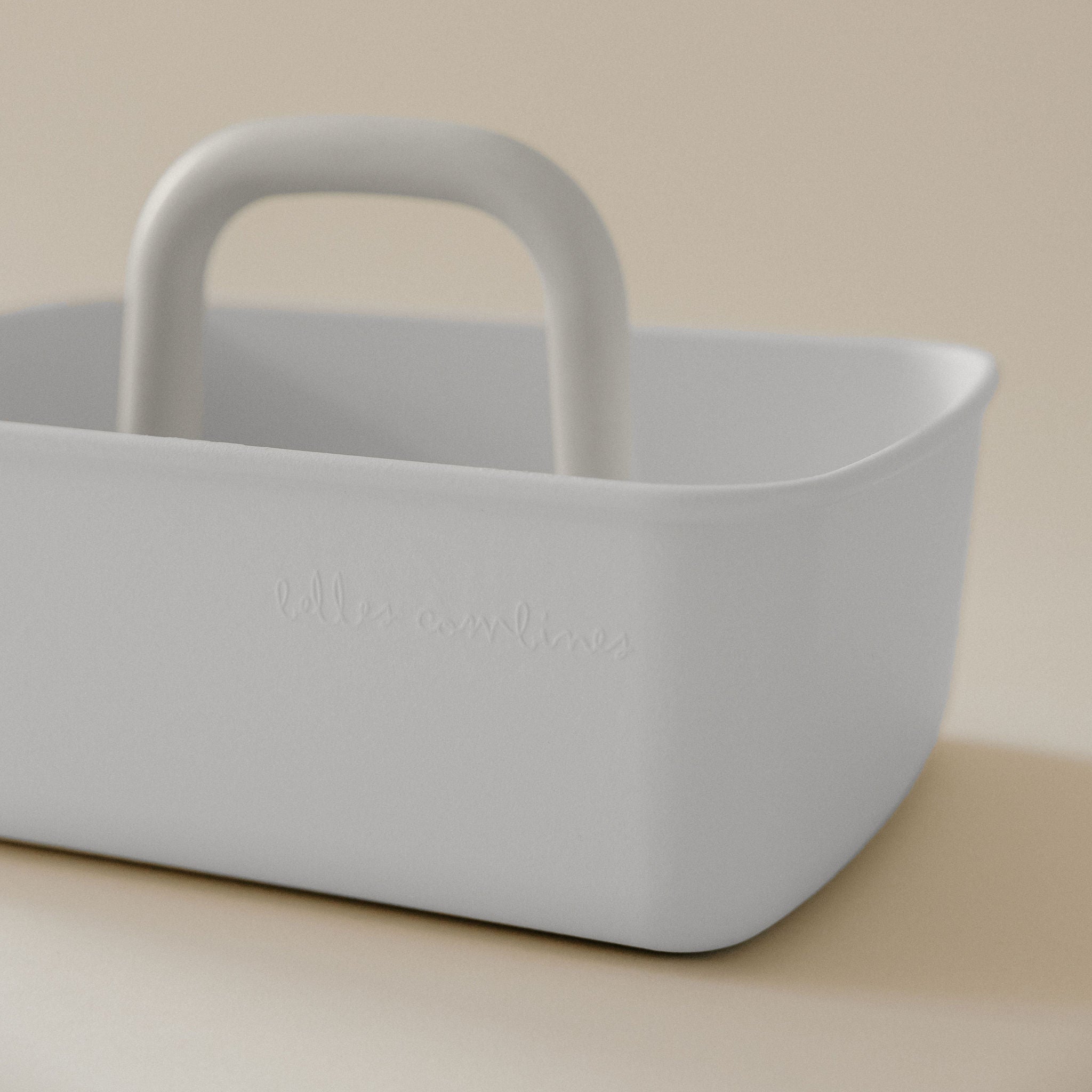 Leo storage bin