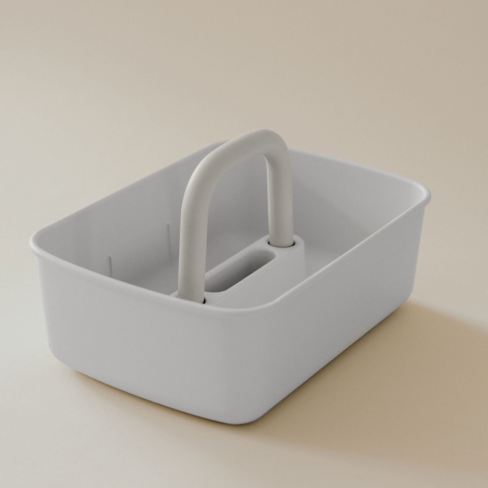 Leo storage bin
