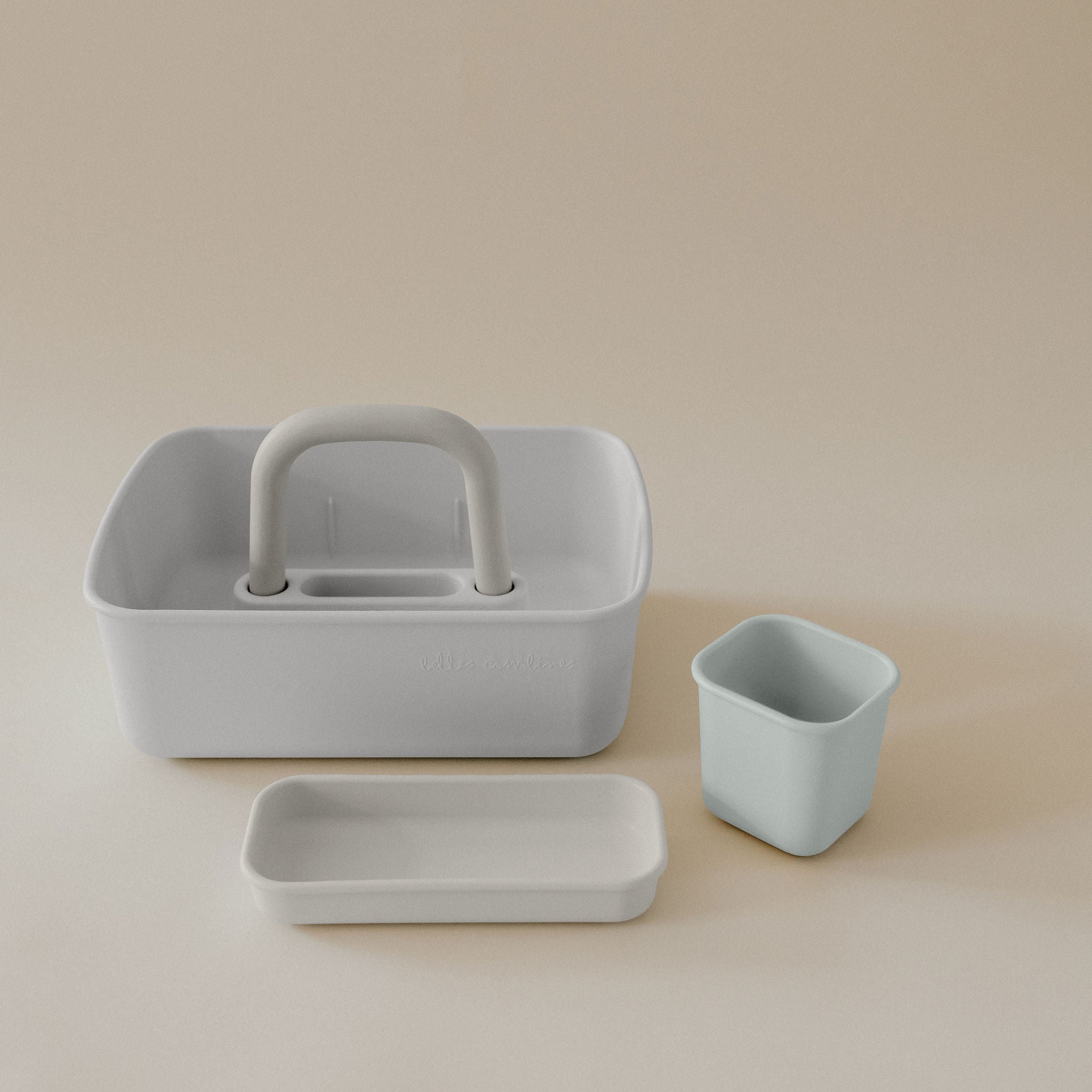 Leo storage bin