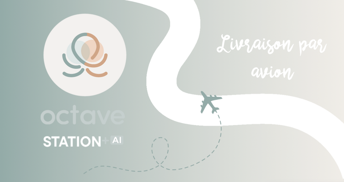 Livraison station par avion