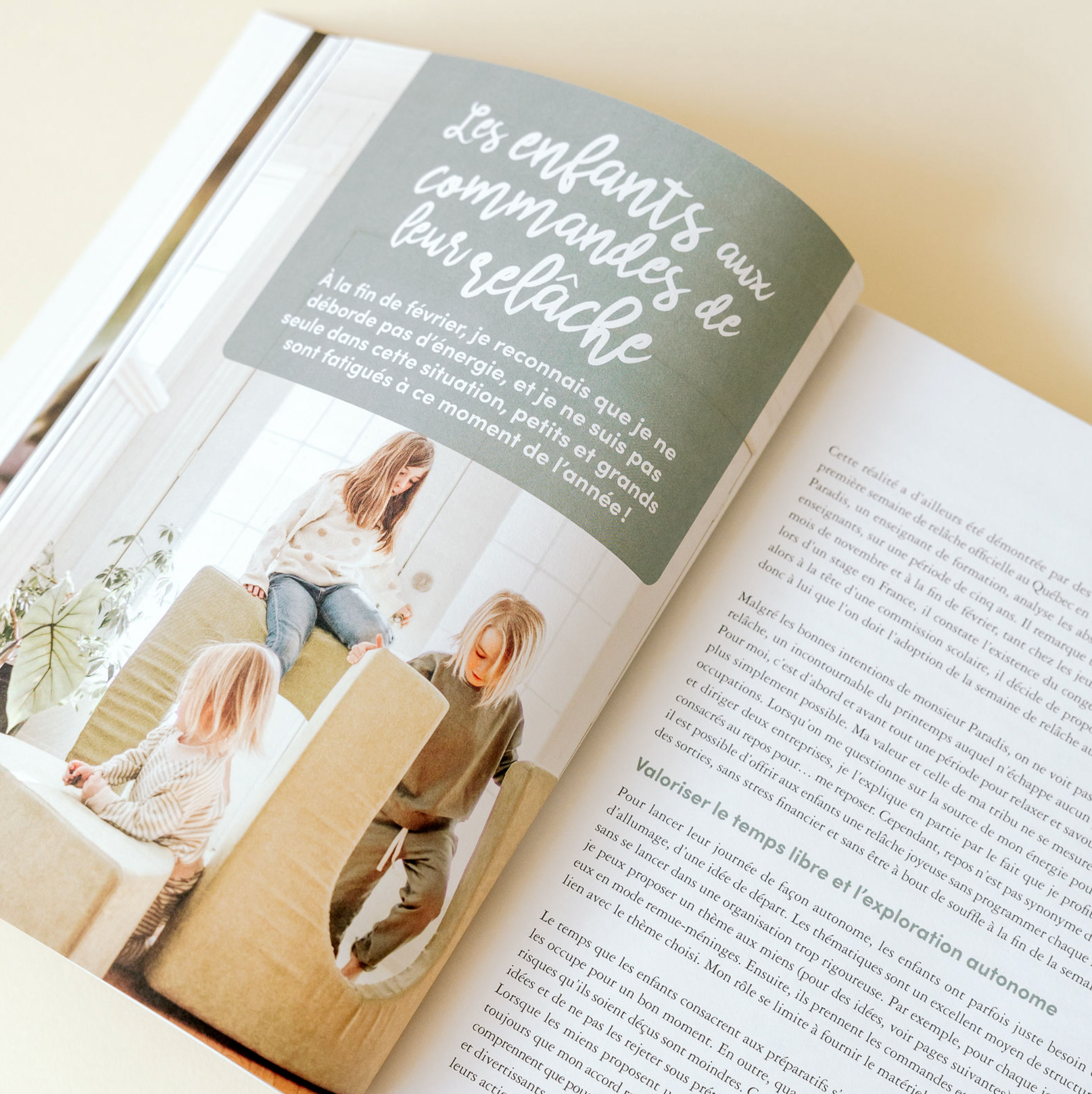 Book Four Seasons of Belles Combines 