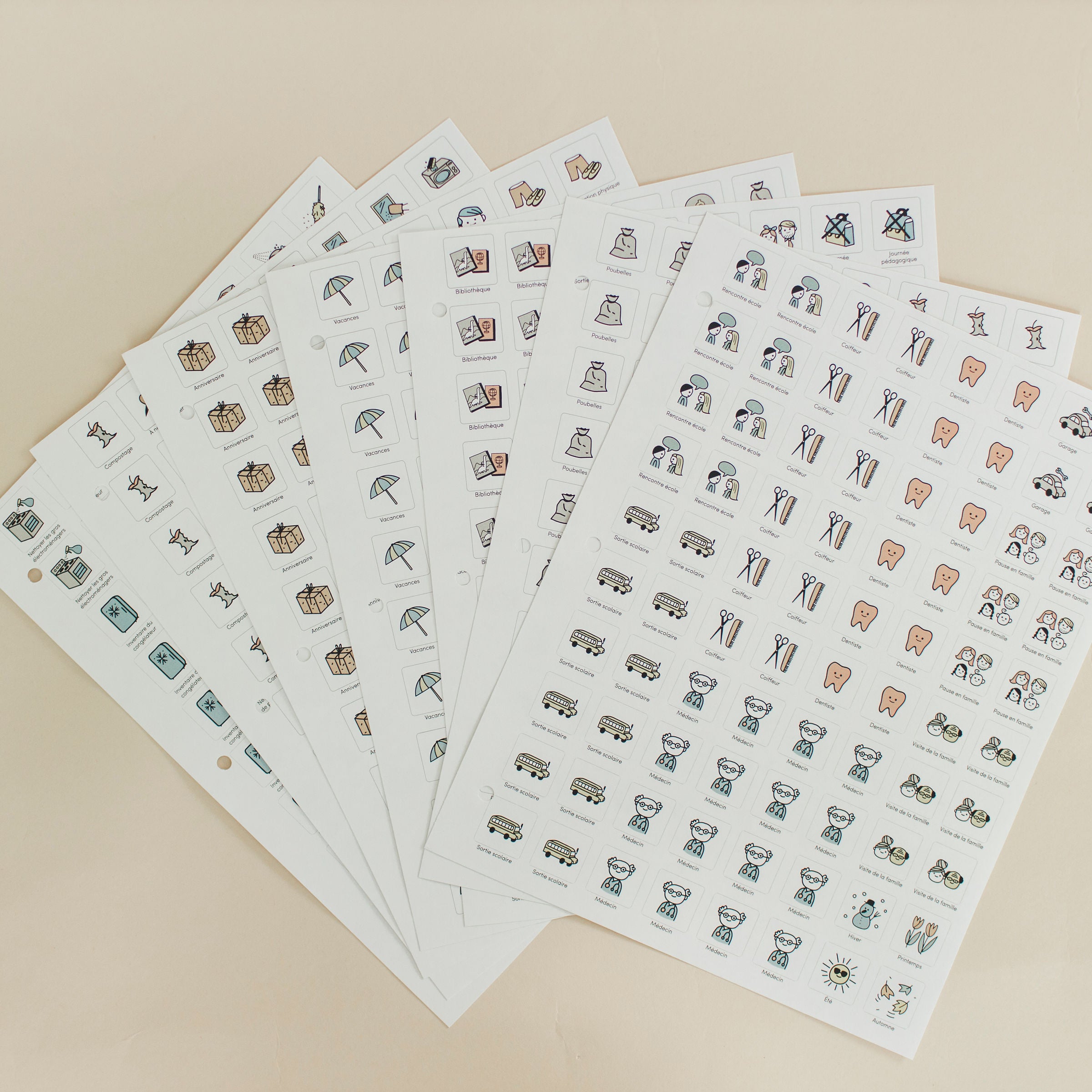 Complete set of family organization