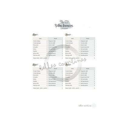 Bilan financier cumulatif