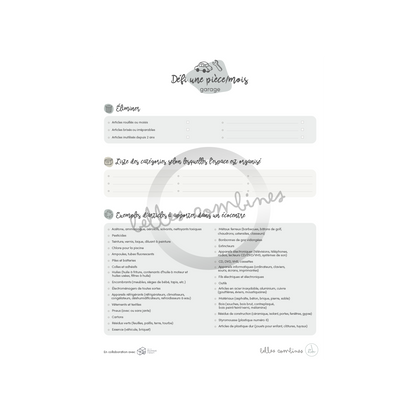 Challenge 1 coin/month garage