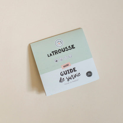 Version française de l&